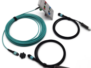 МОМО тӱҥалтыште вотышто да кугыт вот-влак дене йӧн-влакым тӧрзаше